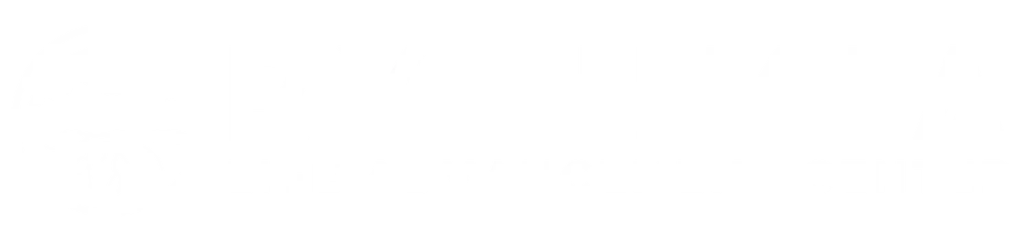 rythmia logo